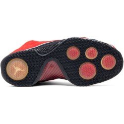 Air Jordan 21 Retro Black Gum